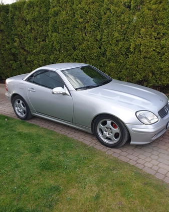 Mercedes-Benz SLK cena 15000 przebieg: 155000, rok produkcji 2001 z Warszawa małe 631